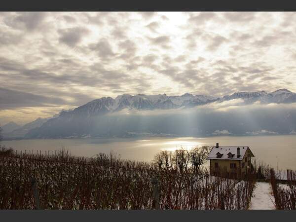 Une vue sur le lac Léman depuis un vignoble en terrasse, dans la région du Lavaux, en Suisse.