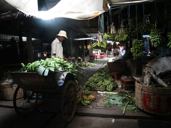Livreur de bananes dans le marché couvert de Kampot, au Cambodge