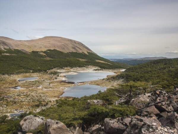 Paysage de la partie méridionale de l’île Navarino, au Chili (Patagonie). 