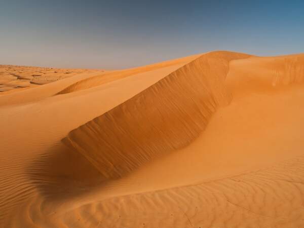Dune de sable dans le désert de Wahiba à Oman