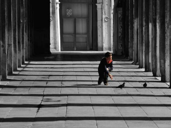 Un garçon joue avec des pigeons, à Venise, en Italie