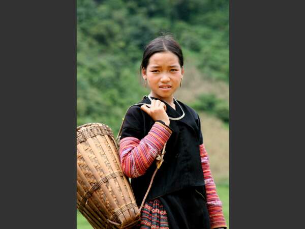 Cette jeune fille de l'ethnie Red Zao récolte du maïs (Vietnam).