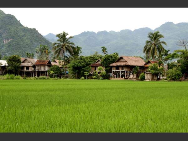 Les paysages de rizière sont très nombreux au Vietnam.