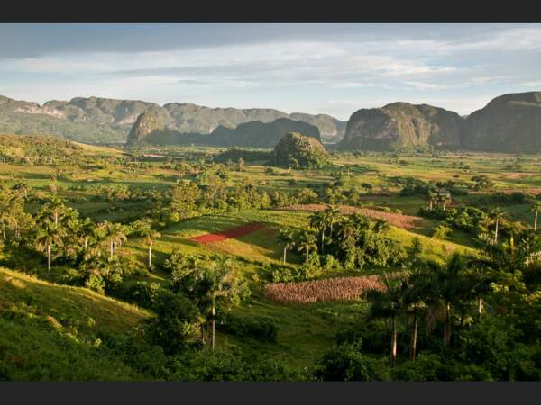 Depuis la terrasse de l’hôtel Jazmines, on surplombe le paysage verdoyant des rizières et des plantations de Viñales (Cuba).