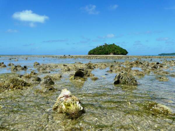 Le lagon à marée basse près de l’îlot Saint-Christophe, à Wallis, en Polynésie.