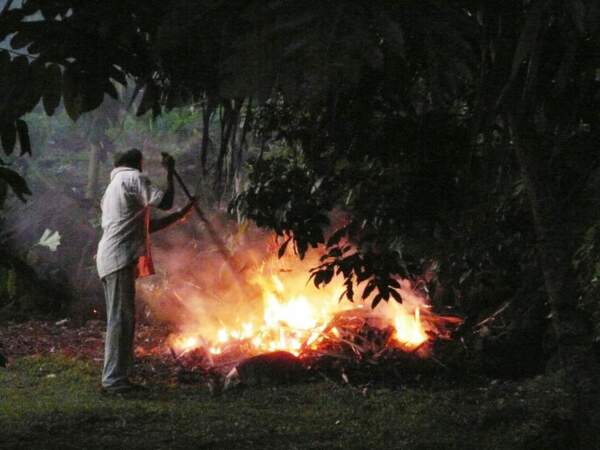 Un paysan brûle des mauvaises herbes sur l’île de Wallis, en Polynésie.