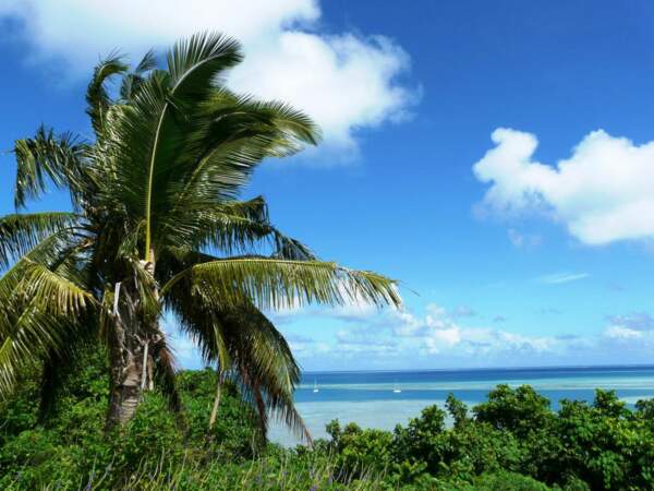 Panorama côtier de l’île de Wallis, en Polynésie.