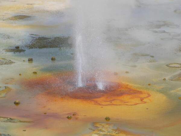 Geyser double dans le bassin de Norris (Yellowstone, Etats-Unis).