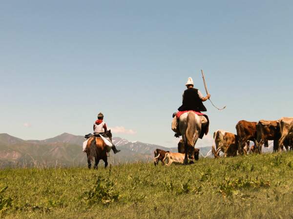 Deux générations de bergers guident leur troupeau dans le massif du Ferghana, au Kirghizistan
