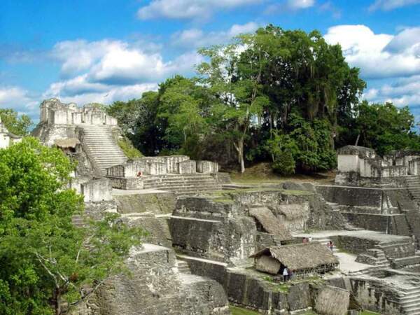 Les pyramides de Tikal font partie des vestiges les plus spectacuaires de la civilisation Maya