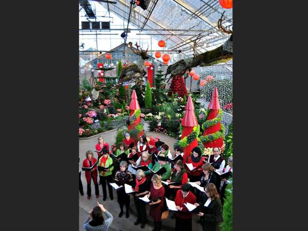 Chorale de Noël dans le jardin botanique de Montréal, au Québec. 