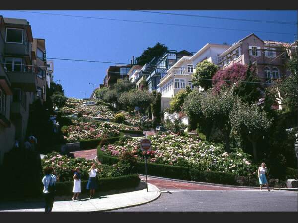 La célèbre Lombard Street, dans le quartier de Russian Hill, à San Francisco, aux Etats-Unis.