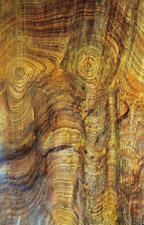 La silhouette d’un éléphant ? A Coloured Canyon, en Egypte