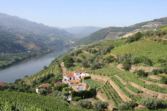La vallée du Douro

