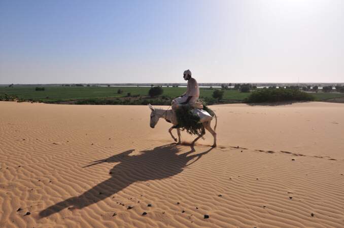 Dunes dominant la vallée du Nil