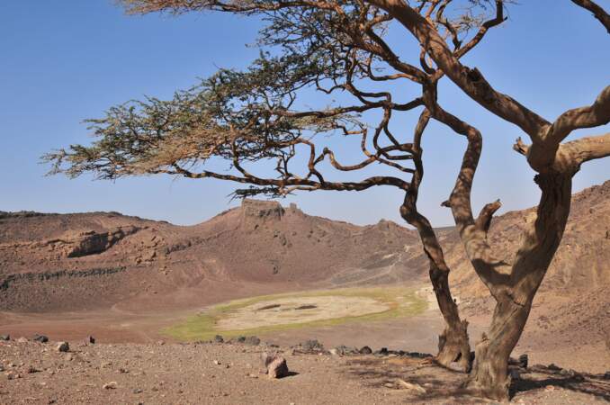Le désert de Bayouda 