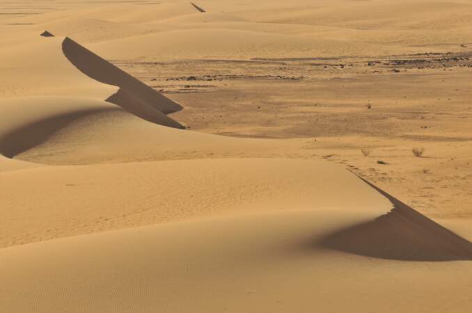 Dunes du désert de Nubie