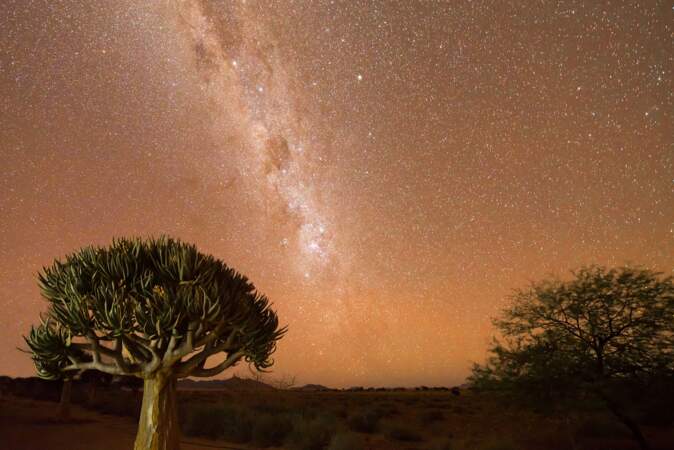 Le désert du Namib, en Namibie 