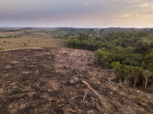 Vue aérienne de la déforestation dans la forêt amazonienne pour ouvrir des terres à l’agriculture