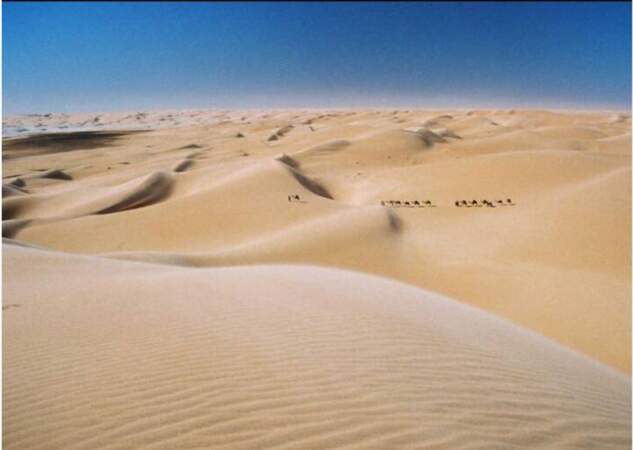 Caravane dans les dunes de sable