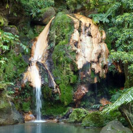 Le parc et la cascade de Caldeira Velha, sur l'île de São Miguel