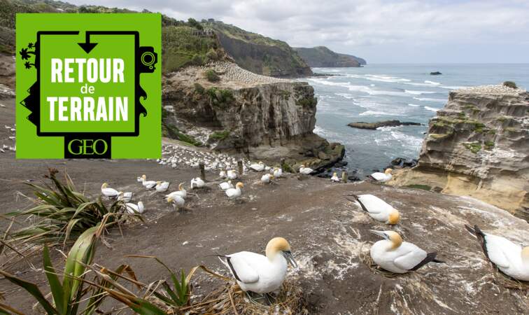 # 16 La Nouvelle-Zélande, archipel aux merveilles pour ce photographe géologue