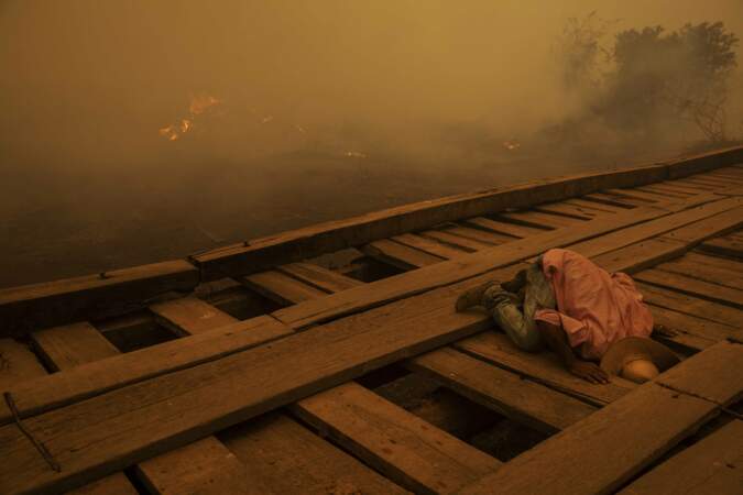 Au Brésil, dans l'enfer des flammes du Pantanal