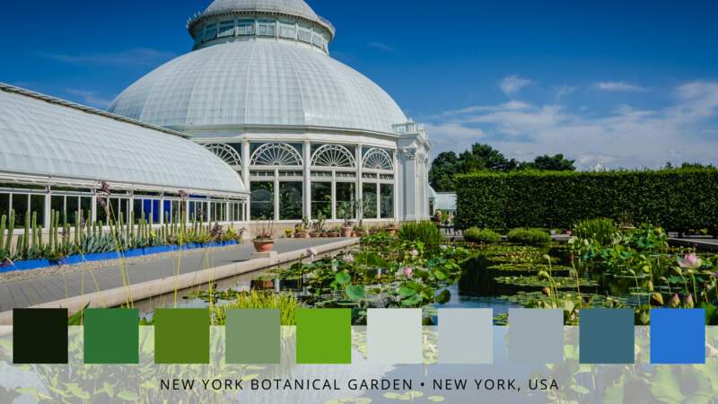 6- Les jardins botaniques de New-York
