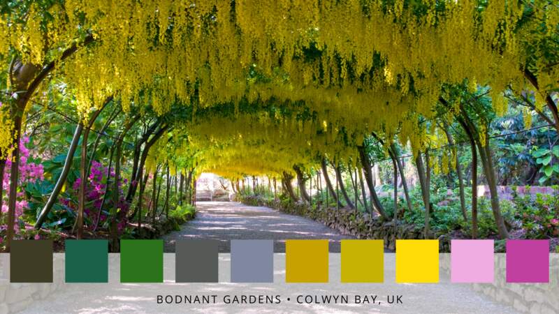 10 - Les jardins de Bodnant au Pays de Galles
