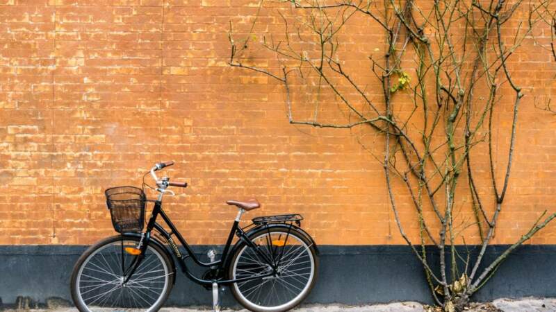 Copenhague : capitale mondiale de la bicyclette
