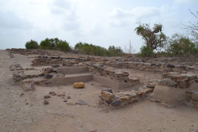 Les ruines d’une cité harappéenne à Dholavira (Inde)