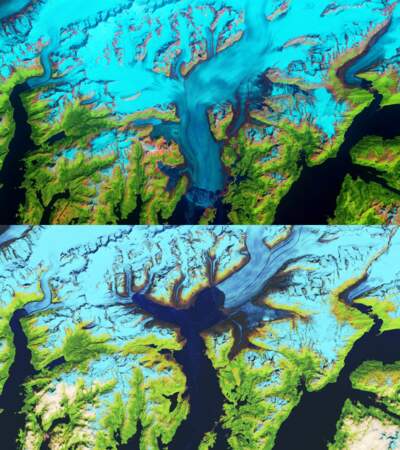 Le glacier Columbia en Alaska entre 1986 et 2019