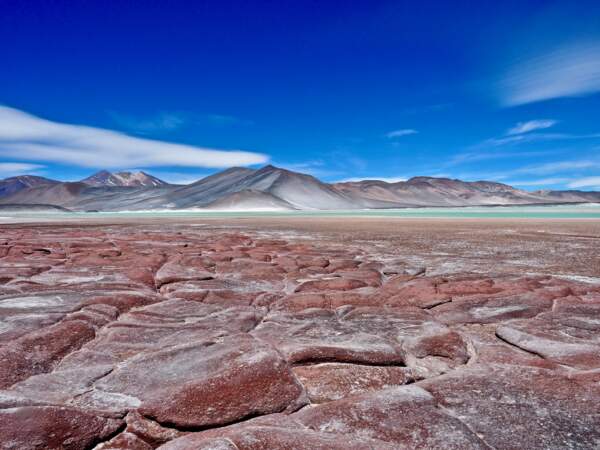 Le désert d'Atacama, au Chili et au Pérou 