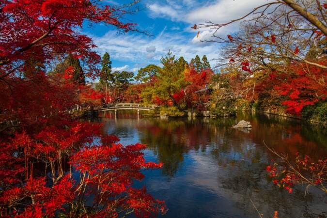 L'automne à Kyoto