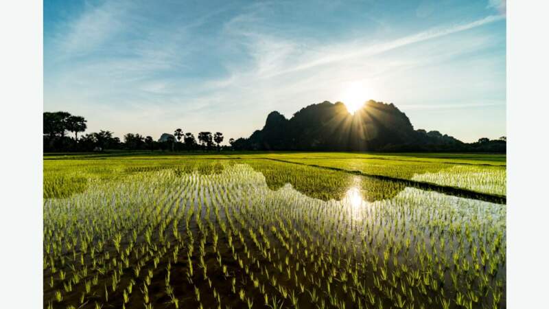 Crépuscule sur les rizières de Hpa-An