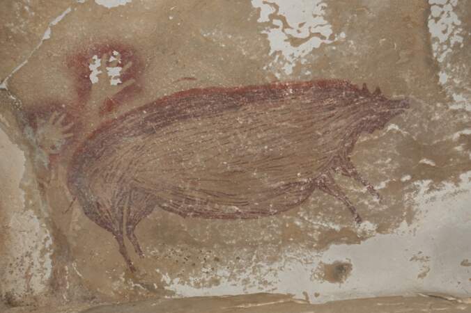 8 - La plus ancienne peinture rupestre connue