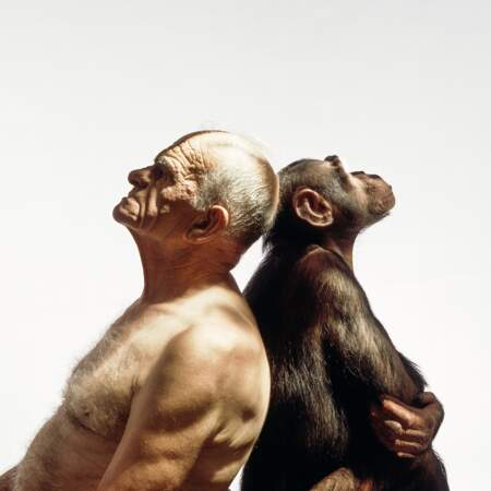 Le vieil homme et le grand singe