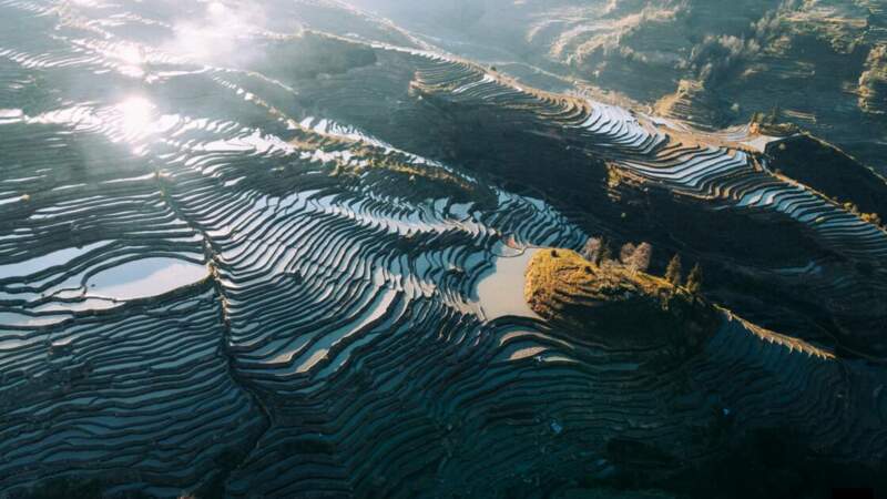 Rizières en terrasse de Yuanyang au Yunnan 