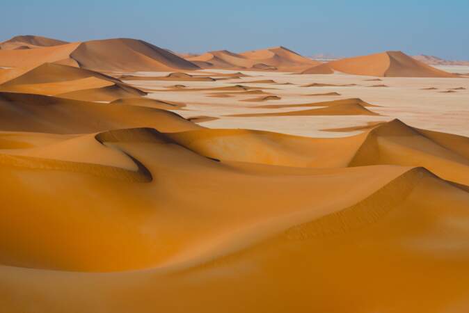 Des dunes et du vent