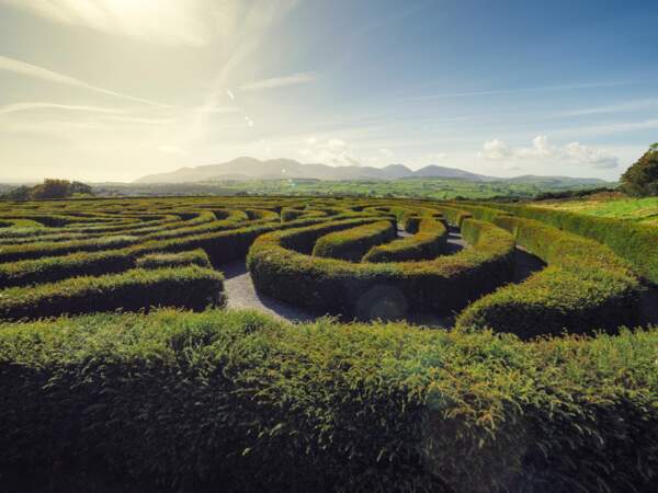 Castlewellan Peace Maze