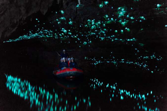 Glowworm Cave, la Grotte de vers luisants de Waitomo