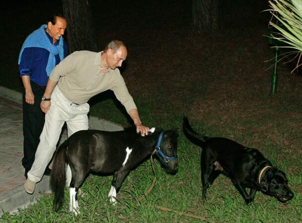 Le poney de Berlusconi
