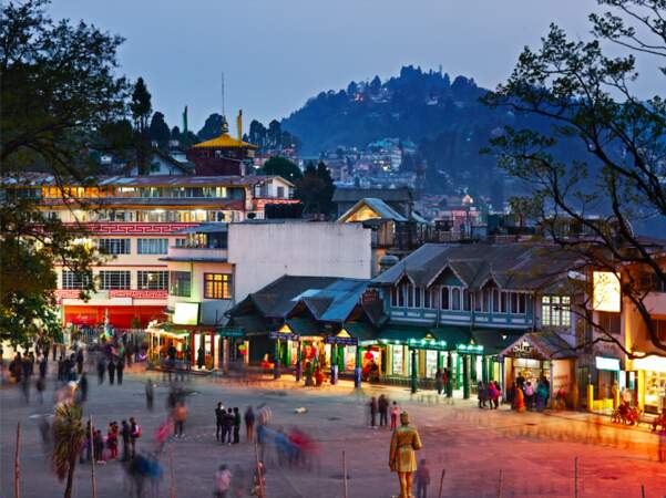 Le Darjeeling