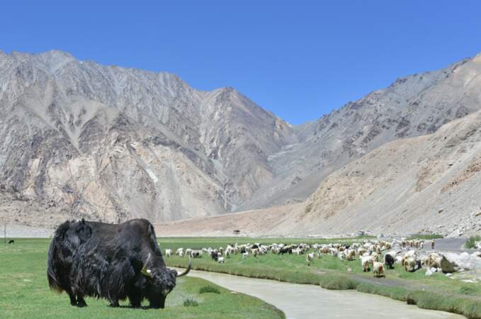 Le Ladakh ou le petit Tibet