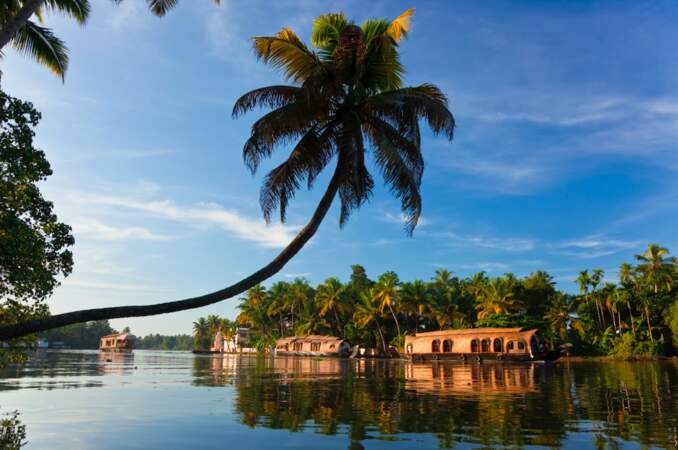 Backwaters du Kerala