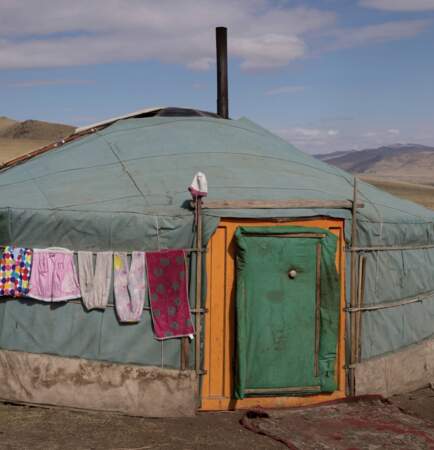 Le pastoralisme fait vivre un foyer mongol sur trois