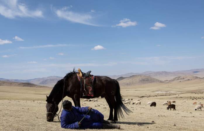 Là où passent les troupeaux, la steppe ne repousse pas