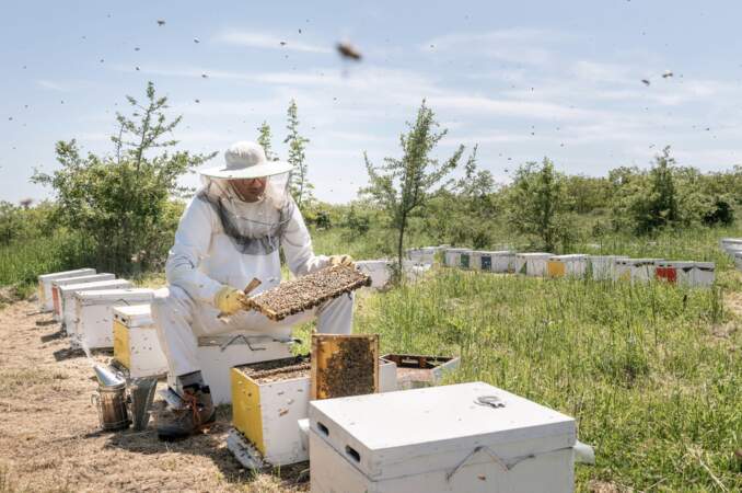 De l'ordinateur à l'apiculture